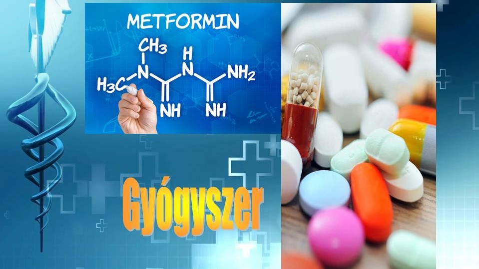 a kezelés a cukorbetegség metformin)